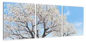 Obraz kvetoucího stromu na jarní louce (90x30cm)