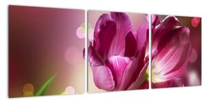 Obraz tulipánů (90x30cm)