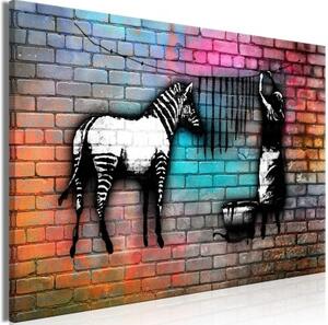 Obraz - Washing Zebra - Colourful Brick (1 Part) Wide
