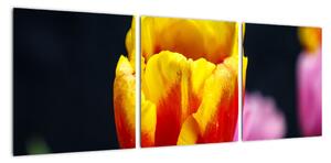 Obraz tulipánu (90x30cm)