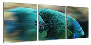 Obraz na stenu - ryby (90x30cm)
