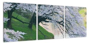 Obraz kvetoucích stromů (90x30cm)