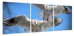 Obraz do bytu - ptáci (90x30cm)