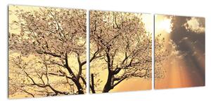Obraz stromu (90x30cm)