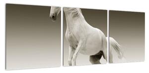 Obrazy bílého koně (90x30cm)