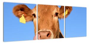 Obraz krávy (90x30cm)