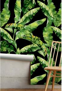 Fototapeta Krása rostliny banánů Samolepící 250x250cm