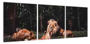 Obrazy - lvi v lese (90x30cm)
