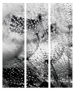 Murando DeLuxe Paraván dešťový polibek Velikost: 135x172 cm