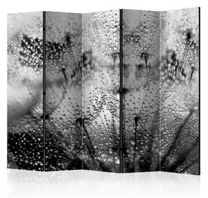 Paraván černobílý Velikost (šířka x výška): 135x172 cm