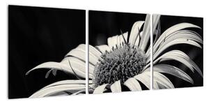 Černobílý obraz květu (90x30cm)