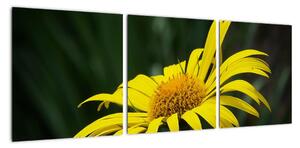 Obraz žlutého květu (90x30cm)