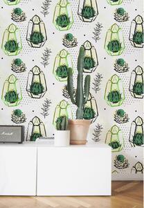 Fototapeta Kaktusové lucerny Samolepící 250x250cm