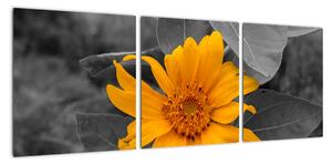 Obraz oranžového květu (90x30cm)