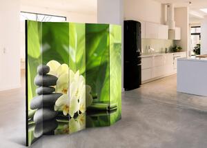 Paraván orchidej a kameny Velikost (šířka x výška): 225x172 cm