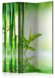 Murando DeLuxe Paraván zelený bambus Velikost: 135x172 cm