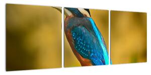 Obraz - barevný pták (90x30cm)