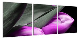 Obraz fialových tulipánů (90x30cm)