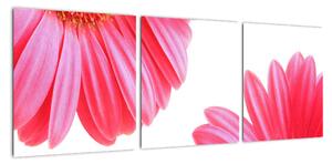 Obraz květin - astra (90x30cm)