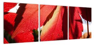 Obraz červených listů (90x30cm)