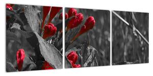 Červené květy - moderní obrazy (90x30cm)