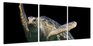 Obraz plovoucí želvy (90x30cm)