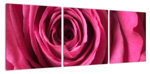 Obraz růžové růže (90x30cm)