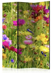 Paraván květinová louka Velikost (šířka x výška): 225x172 cm