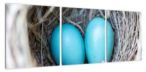 Obraz modrých vajíček v hnízdě (90x30cm)