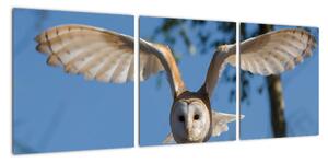 Obraz letící sovy (90x30cm)