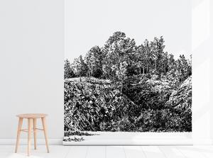 Fototapeta Ručně malovaný les na skále Samolepící 250x250cm