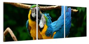 Obraz papoušků na laně (90x30cm)