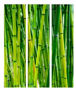 Paraván bambusový háj Velikost (šířka x výška): 135x172 cm