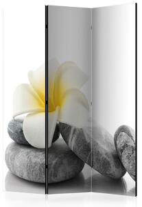 Paraván bílý lotos Velikost (šířka x výška): 225x172 cm