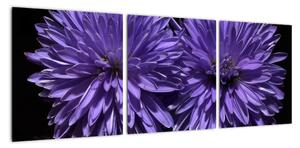 Obraz fialových květů (90x30cm)