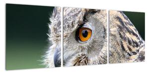Vyhlížející sova - obraz (90x30cm)