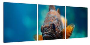 Obraz - ryba (90x30cm)