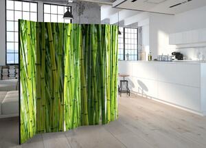 Paraván bambusový háj Velikost (šířka x výška): 135x172 cm