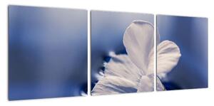 Obraz bílého květu ve vodě (90x30cm)