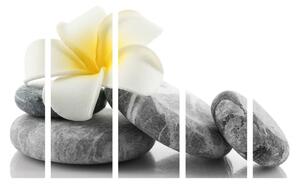 Murando DeLuxe Paraván bílý lotos Velikost: 225x172 cm