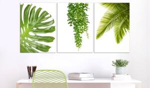 Obraz - Beautiful Palm Trees (3 Parts)