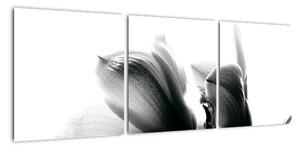 Obraz černobílých květů (90x30cm)