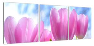 Obraz růžových tulipánů (90x30cm)