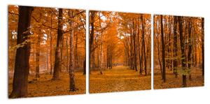 Obraz lesní cesty (90x30cm)