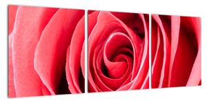 Obraz červené růže (90x30cm)