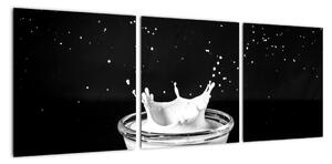 Obraz misky s mlékem (90x30cm)