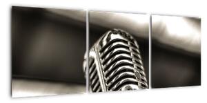 Obraz mikrofonu (90x30cm)