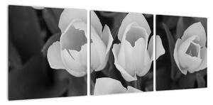 Černobílé květy (90x30cm)