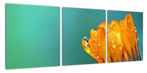 Obraz oranžového květu (90x30cm)