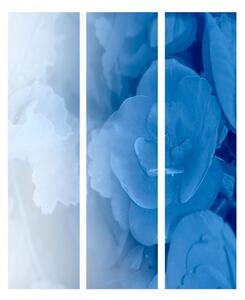 Paraván modré květy Velikost (šířka x výška): 225x172 cm